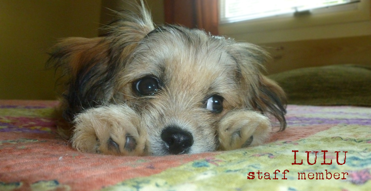 Contact-mosaic-website